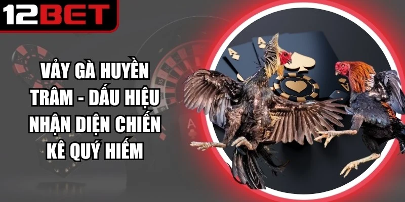 Vảy Gà Huyền Trâm